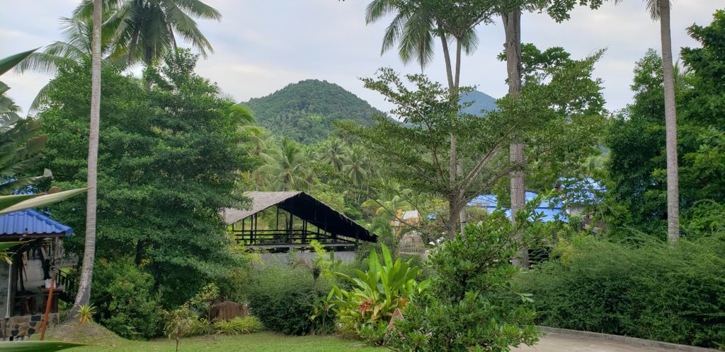 Tranquil yoga retreat with baby in Koh Pha Ngan, at Wonderland Healing Center